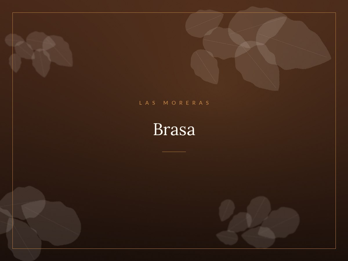 Carne a la brasa