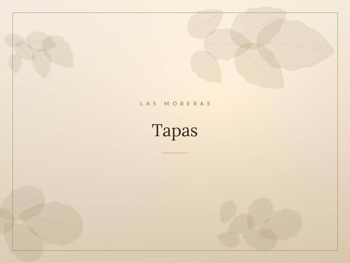 Tapas variadas servidas en la barra