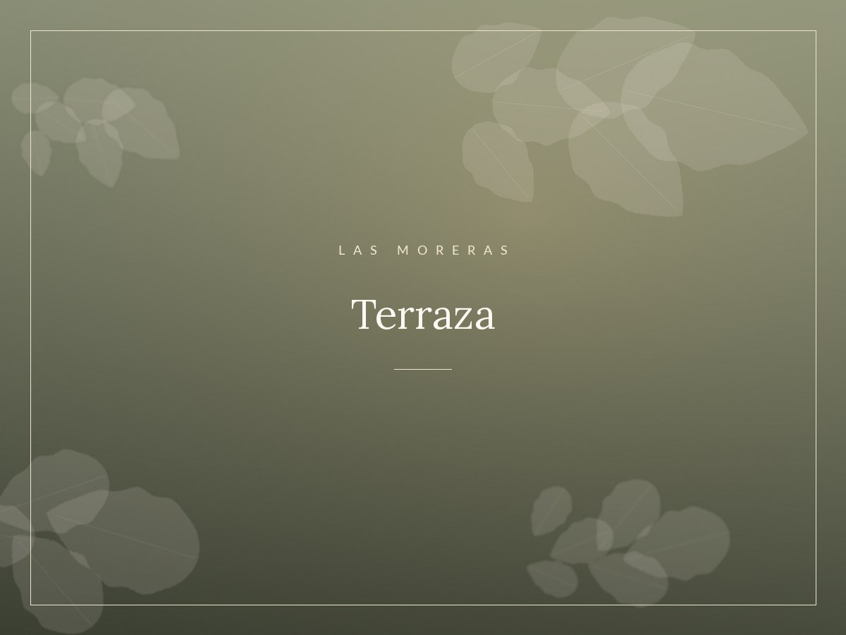 Terraza