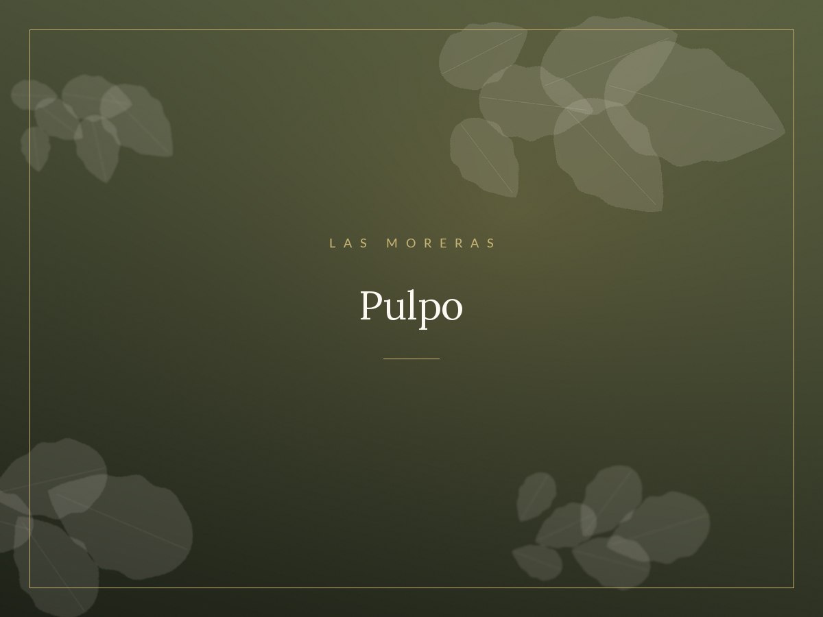 Plato de pulpo