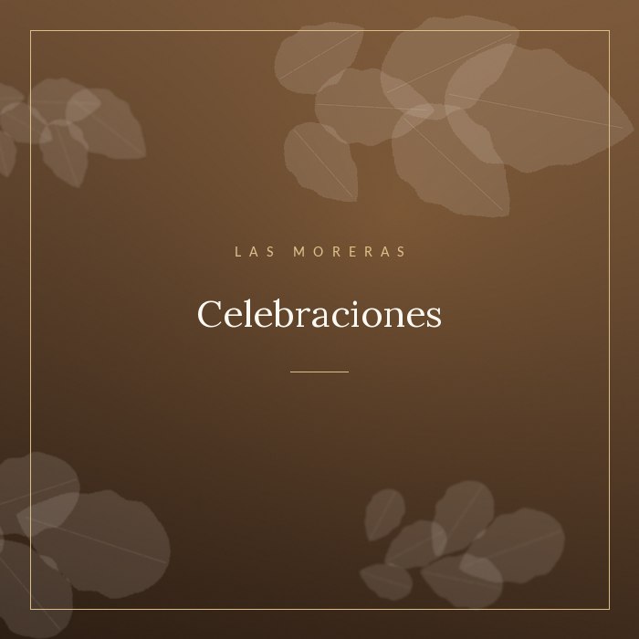 Mesa larga preparada para una celebración